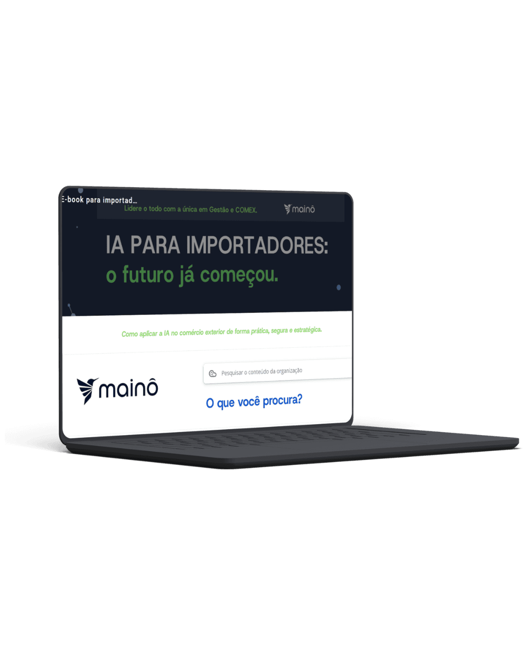 Inteligência Artificial para Importadores